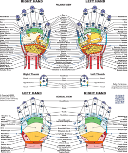 Reflexology Hand Chart Poster