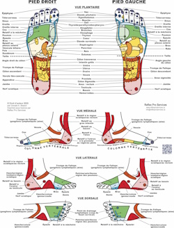 French Reflexology Foot Chart Poster